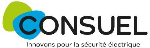 Accueil logo consuel 1